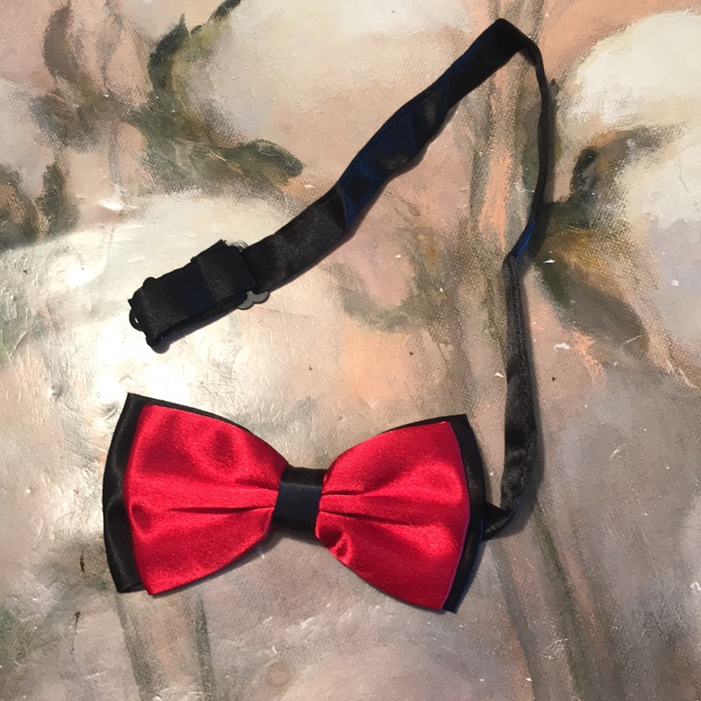 Double Layered Bow Tie - image 2